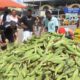 Feira do Milho segue até 25 de junho em Camaçari