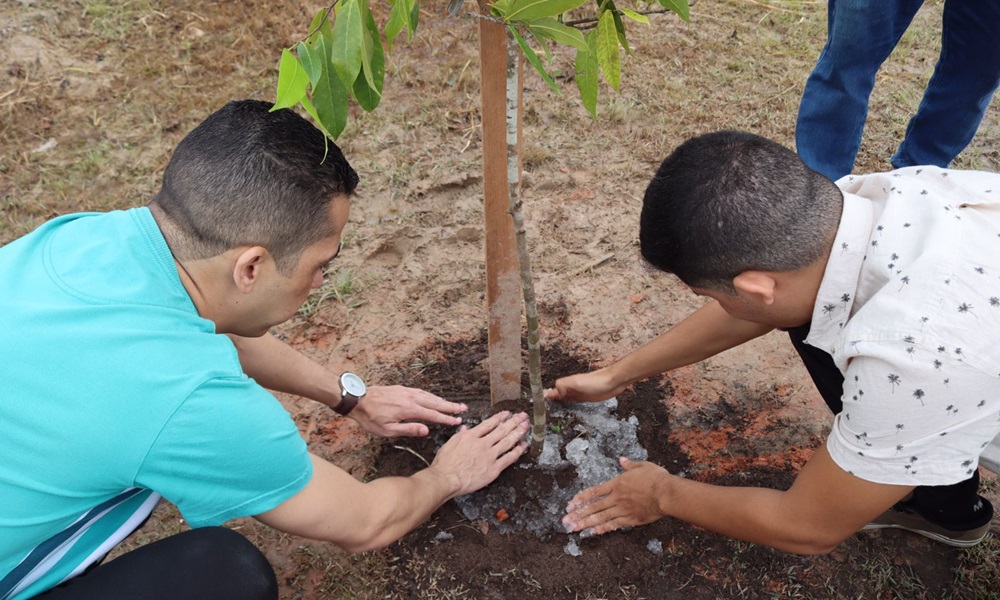 Destaque1 celebra Dia do Meio Ambiente com plantio de árvores Camaçari