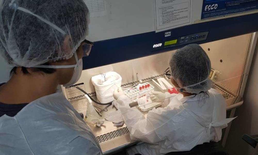Primeiro paciente com suspeita de varíola dos macacos na Bahia segue em observação