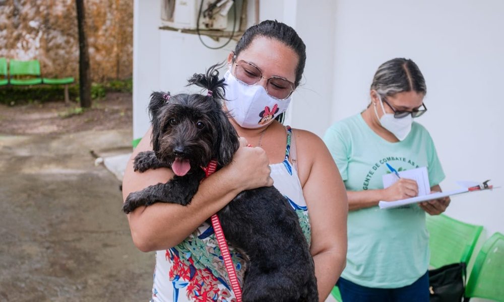 Sesau amplia acesso ao cadastro para castração de cães e gatos