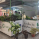 Nova edição da feira de orgânicos no Boulevard Shopping comercializará produtos com Pancs