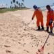 Novos resíduos de óleo são encontrados em quatro praias de Camaçari