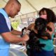 Vacinação antirrábica acontece em quatro shoppings de Salvador neste fim de semana