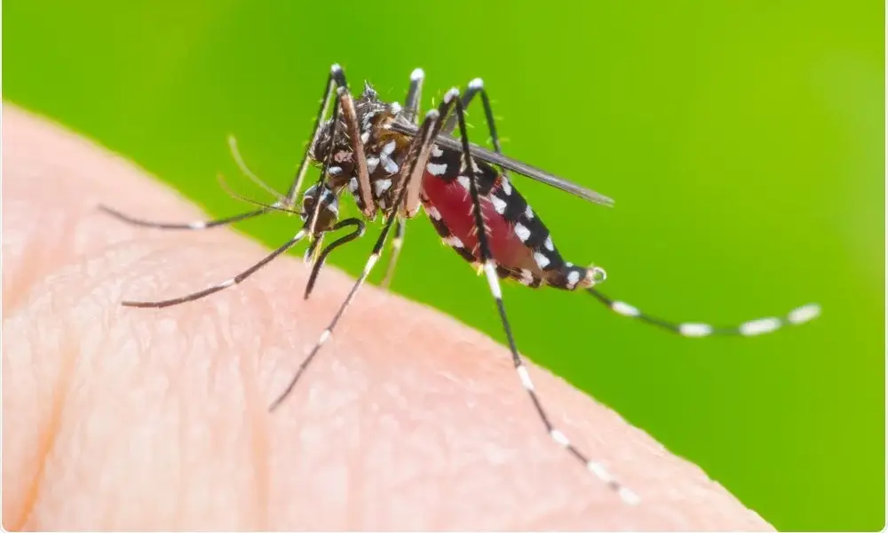 Bahia tem aumento de 33% nos casos de dengue em 2023