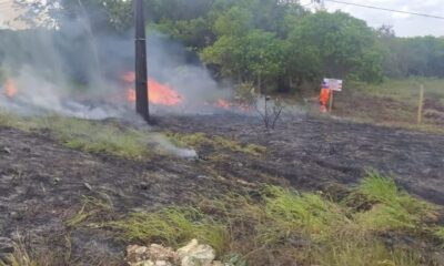 Após incêndio na região do Terras Alphaville, Defesa Civil alerta sobre cuidados com queimadas