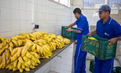 Camaçari recebe mais de R$ 3,3 milhões do Programa Alimenta Brasil