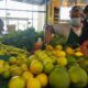 Feira de Orgânicos oferece produtos juninos no Boulevard Shopping