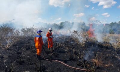 Defesa Civil faz alerta para risco de incêndios florestais em Camaçari