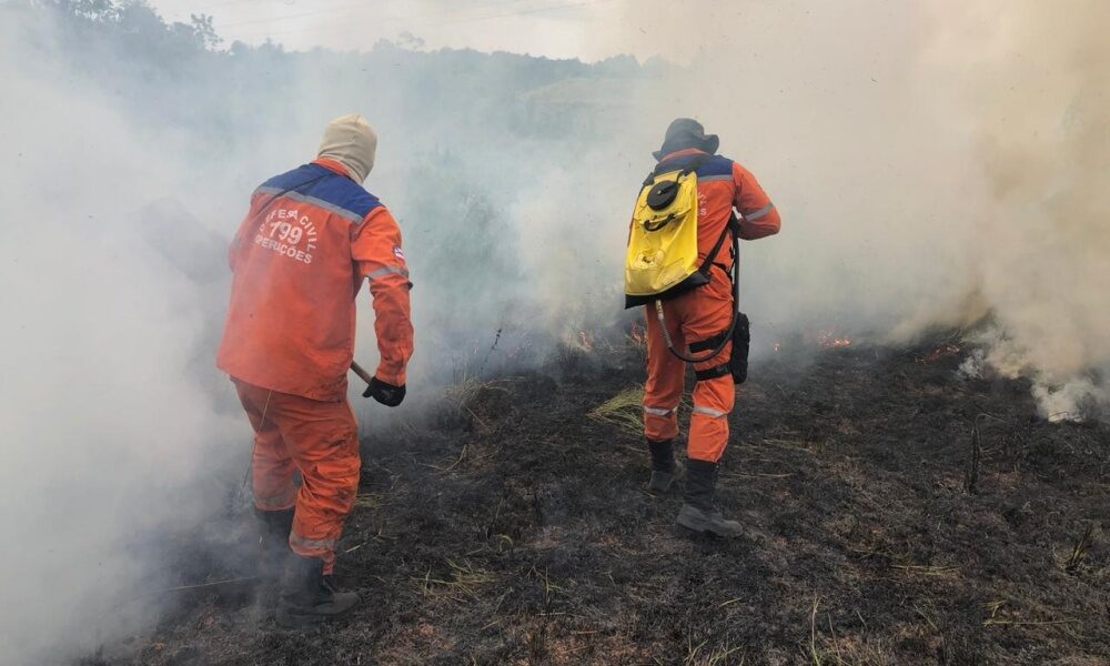 Camaçari: Defesa Civil aponta crescimento de 30% nos incêndios florestais neste início de ano