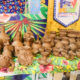 Camaforró: ofício de família, irmãos levam arte da olaria para Vila da Cultura