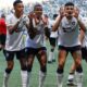 Botafogo vence Palmeiras e dispara na liderança do Brasileirão