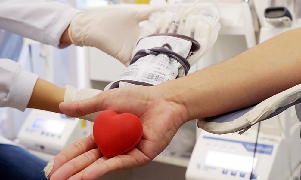 Doar sangue é seguro? Saiba mitos e verdades sobre esse ato que salva vidas