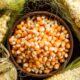Culinária junina: conheça as qualidades nutricionais do milho e como escolher o alimento in natura