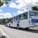 Operação Verão: Camaçari terá novas rotas e horários de ônibus a partir deste domingo
