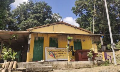 Demora em titular quilombo na Bahia é decisão política, diz advogado