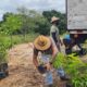 Sedur realiza plantio de 500 mudas na nascente do Rio Camaçari