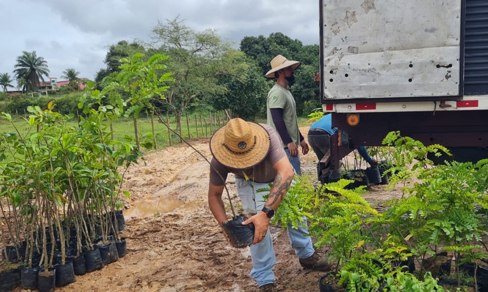 Sedur realiza plantio de 500 mudas na nascente do Rio Camaçari