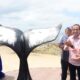Salvador se consolida no turismo de observação de baleias jubarte