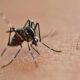 Casos de dengue aumentam cerca de 35,7% na Bahia; 46.234 ocorrências foram registradas até este mês