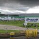 Expansão da Bracell deve gerar cerca de 700 novos empregos em Camaçari