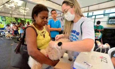 Feira de adoção de pets acontece no Shopping da Bahia nesta sexta