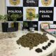 Foragido de Santa Catarina é preso em Salvador com drogas que seriam vendidas no Carnaval