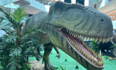 Exposição 'Mundo Jurássico' leva réplicas de dinossauros em tamanho real para o Salvador Shopping