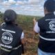Governo do Estado publica edital para 160 vagas na Agência Estadual de Defesa Agropecuária da Bahia