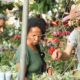 Primeira Feira Agroecológica de Salvador reúne diversidade de sabores e produtos no Comércio
