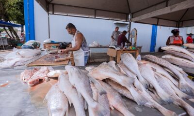 Tradicional Feira do Peixe começa nesta terça em Camaçari