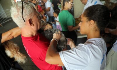 Mutirão de vacina V10 gratuita para cães acontece em Cajazeiras a partir desta terça