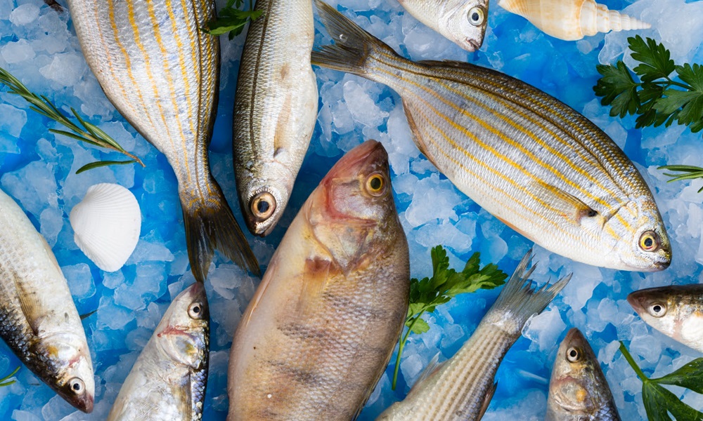 Nutricionista explica como escolher o peixe para almoço da Semana Santa