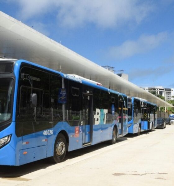 Salvador receberá 188 veículos novos para compor frota de linhas da cidade