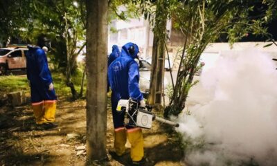 Secretaria Municipal da Saúde anuncia fim da epidemia de dengue na capital baiana