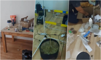 Polícia Civil estoura laboratório de produção de maconha em Camaçari