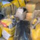 Polícia Federal incinera 1,5 toneladas de drogas apreendidas em Salvador e RMS