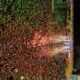 Camaforró 2024 atrai mais de 130 mil pessoas em três dias de festa, diz Prefeitura