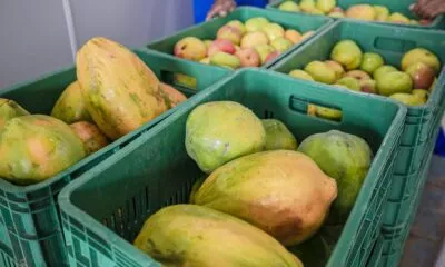 Cerca de R$ 300 mil são injetados na economia local com Programa de Aquisição de Alimentos